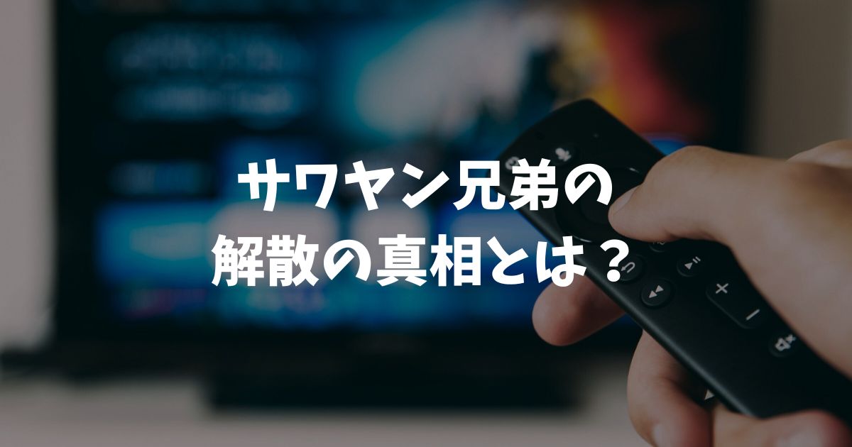 サワヤン兄弟解散の真相とは？我慢の限界や不仲説と今後の活動について徹底解説